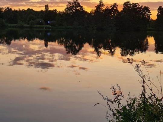 Main (Sulzbach am Main)-3