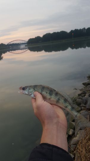 Stichkanal Hildesheim (Bolzum)-1