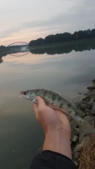 Stichkanal Hildesheim (Bolzum)-1