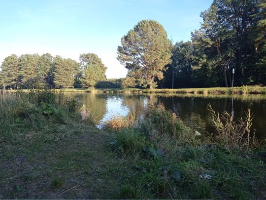 Oder-Havel-Kanal (Malz)-1
