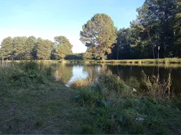 Oder-Havel-Kanal (Malz)-1