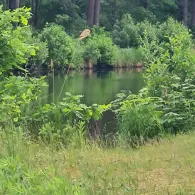 Oder-Havel-Kanal (Malz)-1