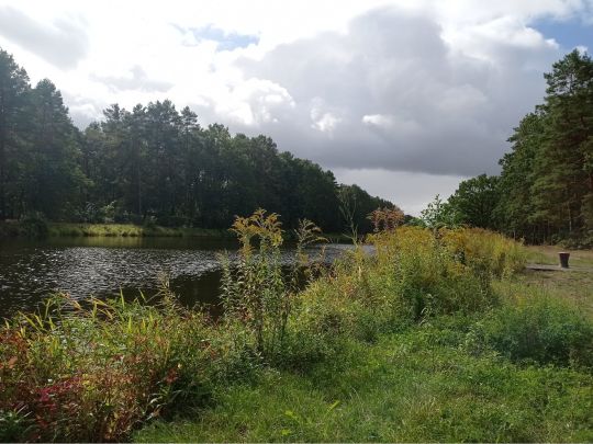 Oder-Havel-Kanal (Malz)-3