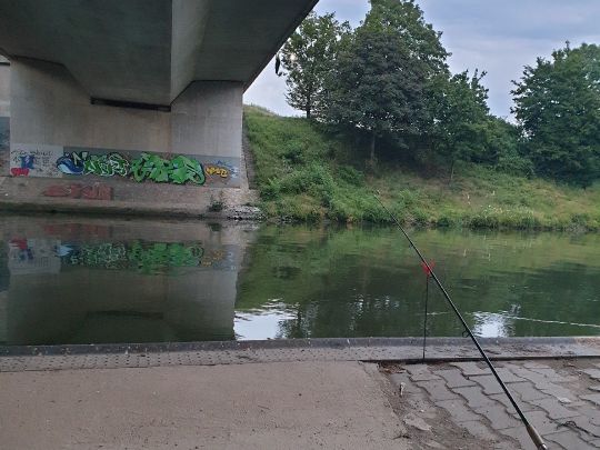 Neckar (Freiberg/Pleidelsheim)-1