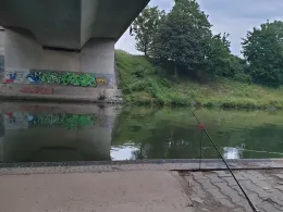 Neckar (Freiberg/Pleidelsheim)-1