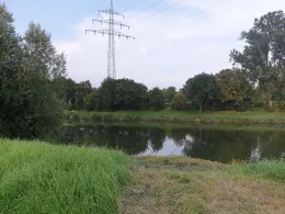 Neckar (Freiberg/Pleidelsheim)-4