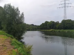 Neckar (Freiberg/Pleidelsheim)-2
