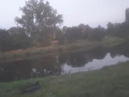 Neckar (Freiberg/Pleidelsheim)-3