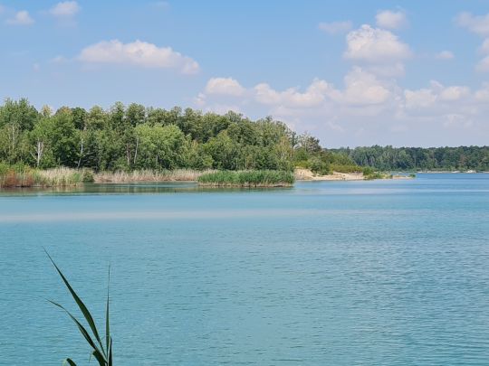 Grillensee (Naunhof)