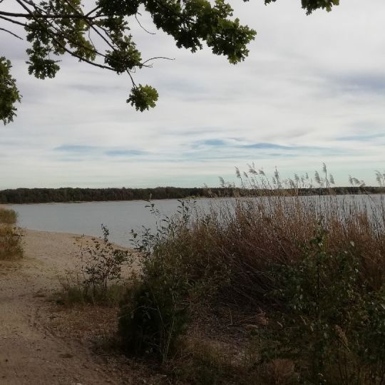 Grillensee (Naunhof)-2