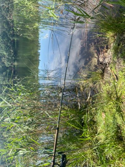 Kleiner Lienewitzsee-3