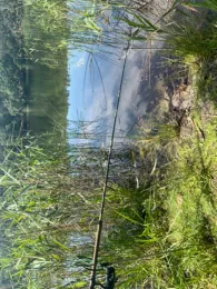 Kleiner Lienewitzsee-3