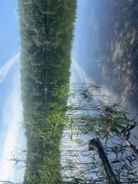 Kleiner Lienewitzsee-4