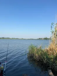 Treene (Friedrichstadt)-4