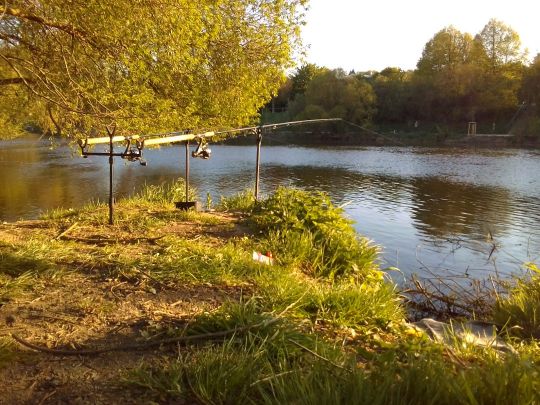 Regen (Regensburg)-2