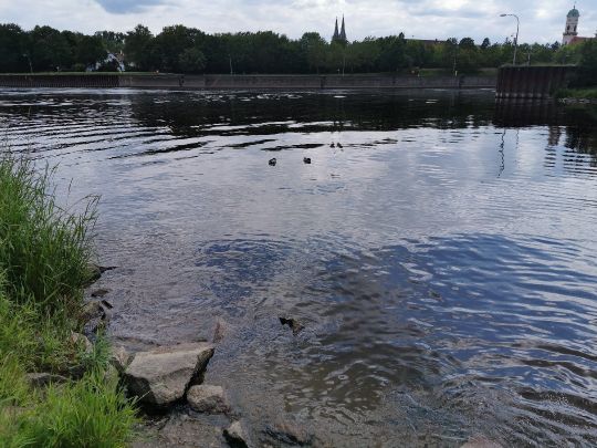 Regen (Regensburg)-4