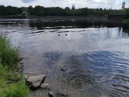 Regen (Regensburg)-4