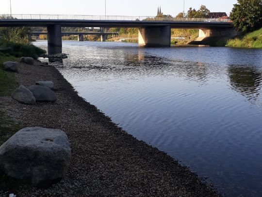 Regen (Regensburg)-3