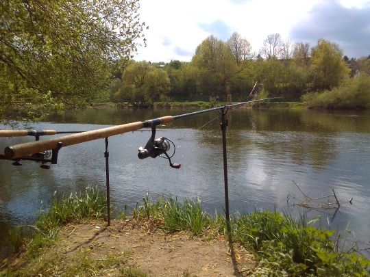 Regen (Regensburg)-1