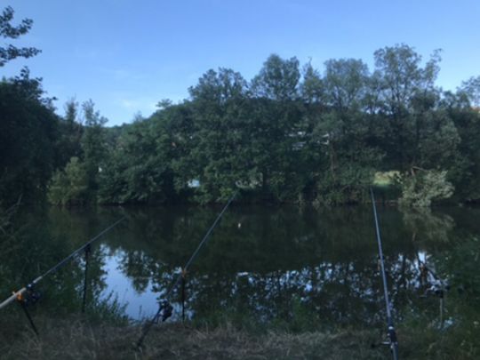 Kocher (Weißbach)