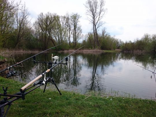 Molschengrube (Sömmerda)-4