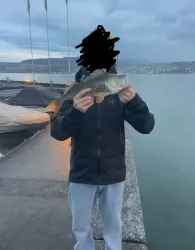 Zürichsee-0