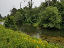 Grießenbach (Raubling)