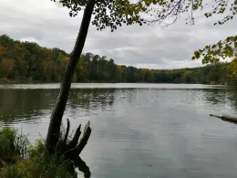 Großer Tornowsee (Pritzhagen)-1