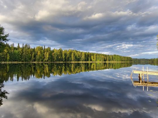 Laukankaallionselkä