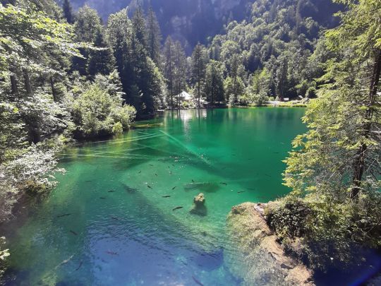 Blausee-1