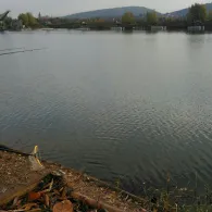 Baggersee Angerstein-4