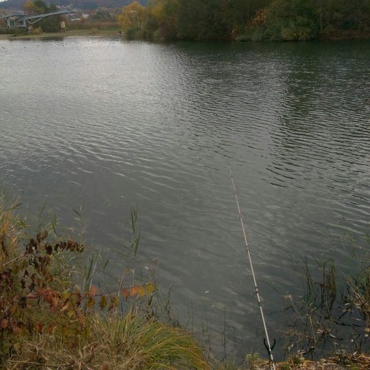 Baggersee Angerstein-3