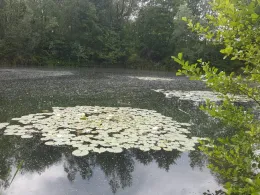 Baggersee Tündern-0