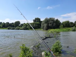Rhein (Volmerswerth)-4