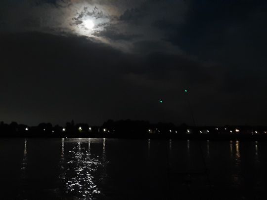 Rhein (Volmerswerth) angeln