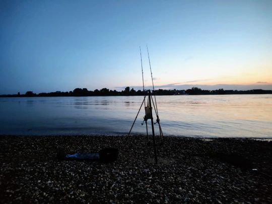 Rhein (Volmerswerth)-3