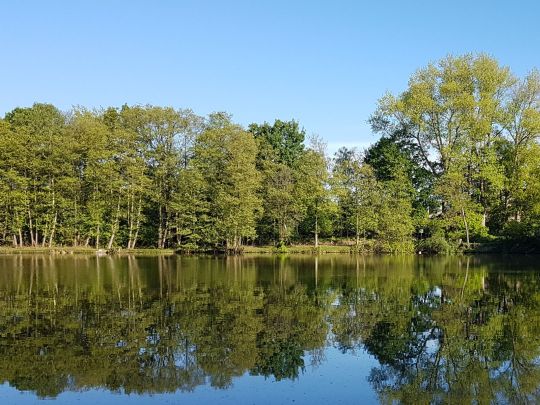 Vereinsgewässer AFV Gahlen-4