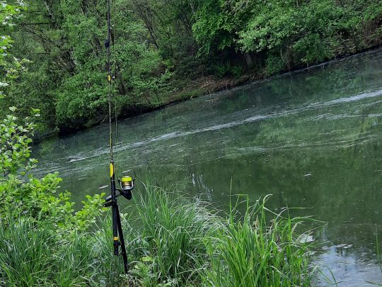 Teiche ASV Rehlingen (Siersburg)-1