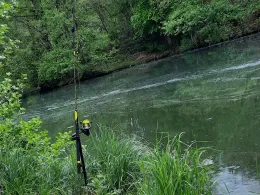 Teiche ASV Rehlingen (Siersburg)-1