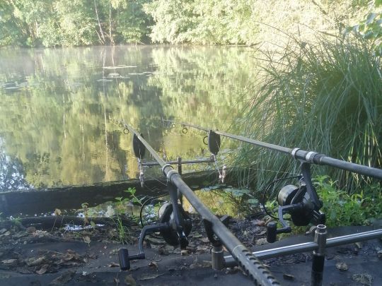 Teiche ASV Rehlingen (Siersburg)-2