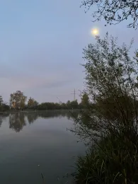 Weiher 2 (FV Finsing)