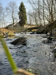 Werre (Bad Salzuflen)-4