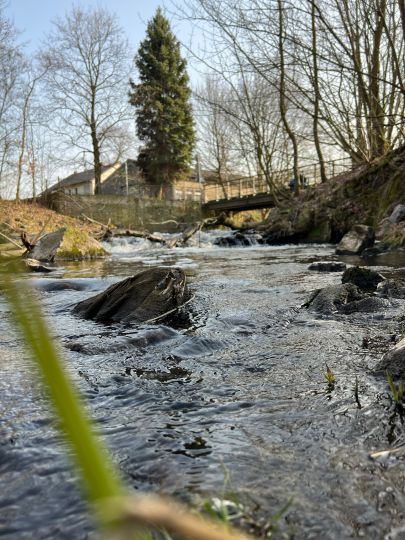 Werre (Bad Salzuflen)-3