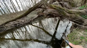 Werre (Bad Salzuflen)-2