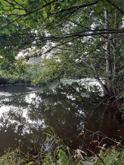 Lethe (Wardenburg)-2