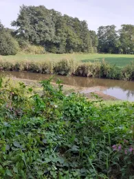 Lethe (Wardenburg)-4