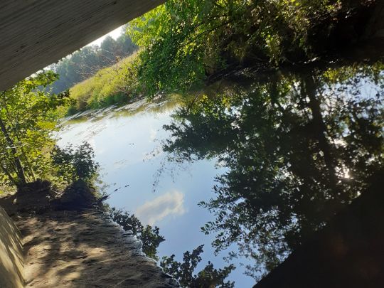 Lethe (Wardenburg)-3