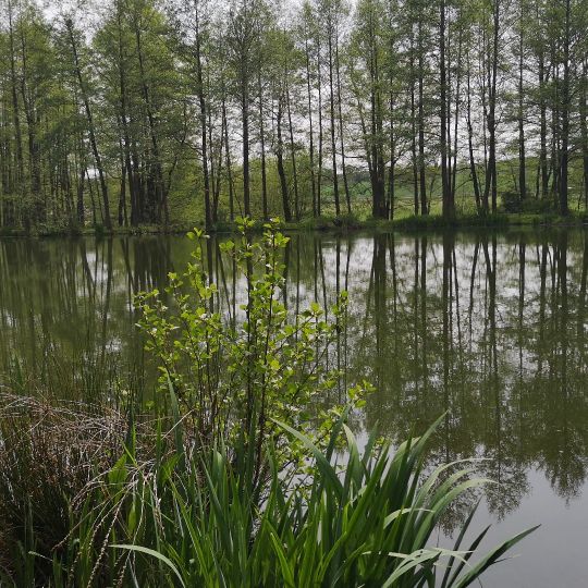 Speicher Schloßig-3