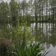 Speicher Schloßig-3