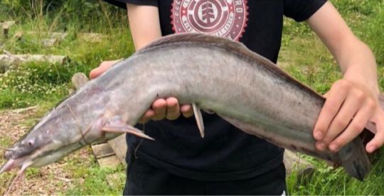 Angelpark Hof Holm-3